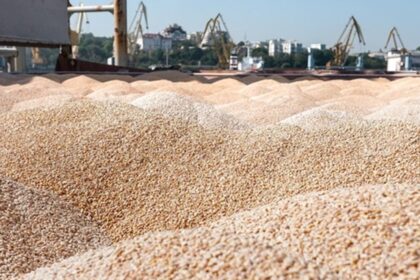 Україна продала мільйон тонн пшениці нового врожаю