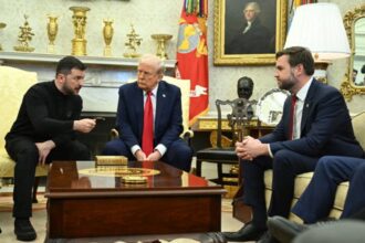 Трамп, Венс і Зеленський зустрінуться онлайн - ЗМІ