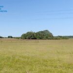 На Київщині викрили земельну аферу, яку організувала депутатка