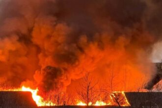 У Москві масштабна пожежа: горять склади і кафе