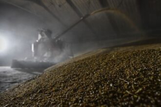 Росія втрачає позиції найбільшого агроекспортера - розвідка