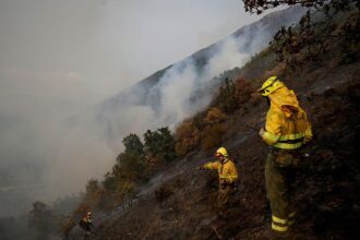 В Іспанії через численні пожежі вигоріла площа розміром, як острів Майорка