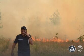 У Запоріжжі пожежа охопила острів Хортиця